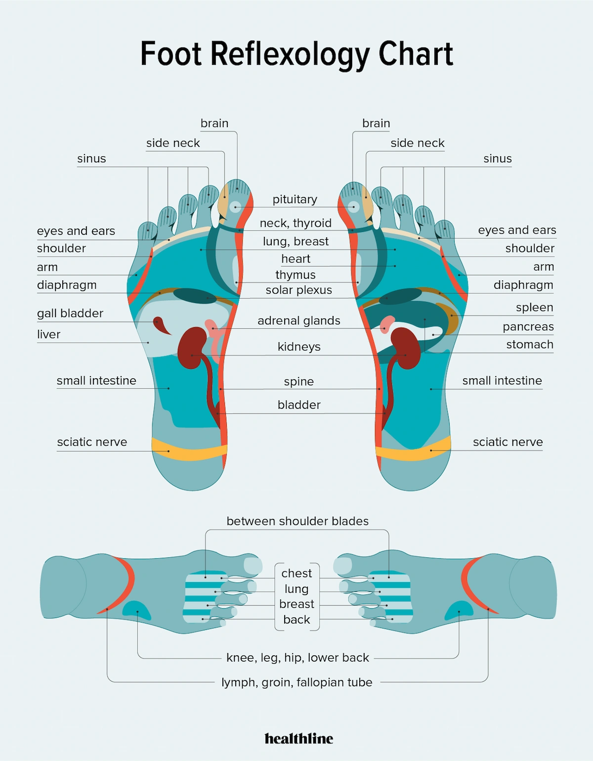 Titik refleksi kaki