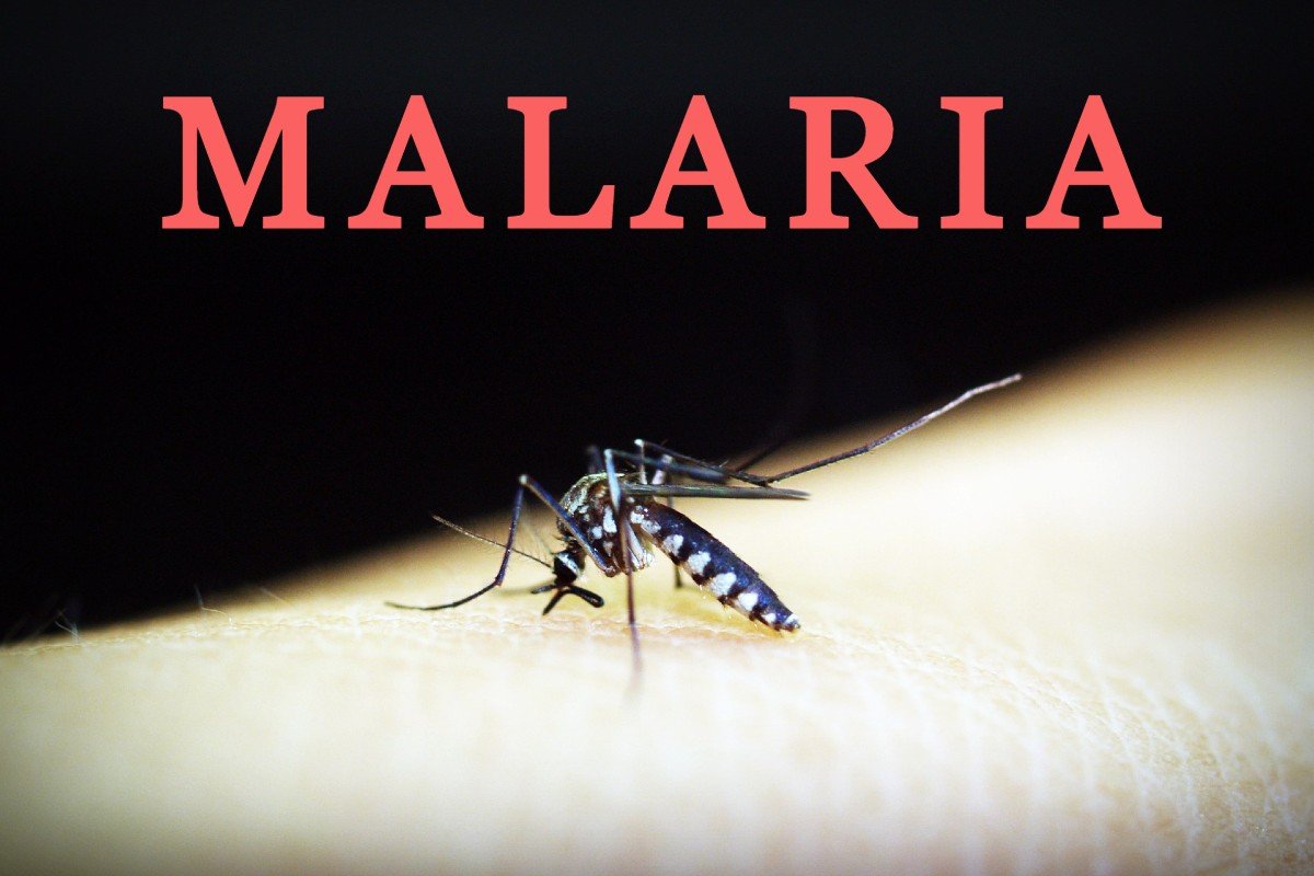 Mari Kita Cegah Malaria, Ini Caranya