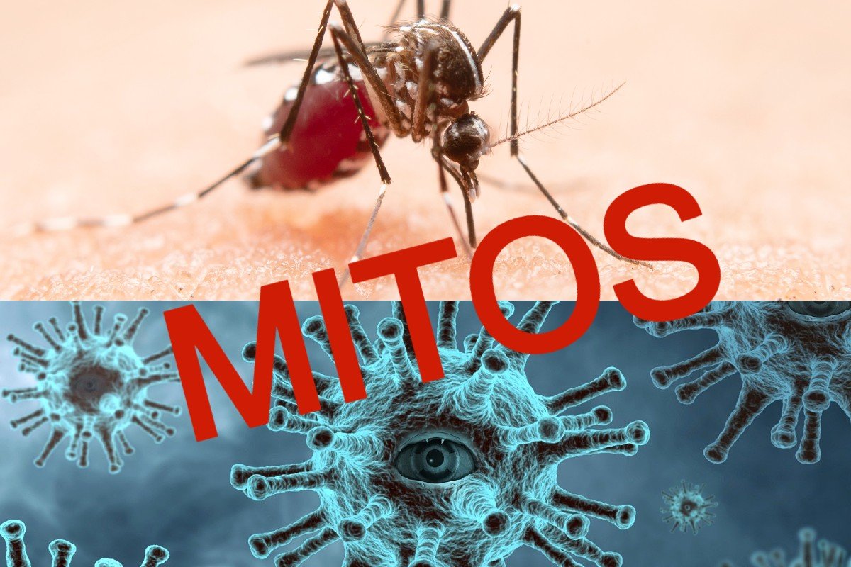 Mitos Seputar Virus Corona dan DBD