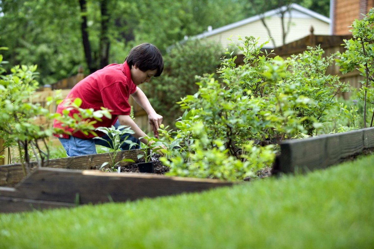 Ternyata Berkebun Bisa Membuat Pikiran Lebih Rileks