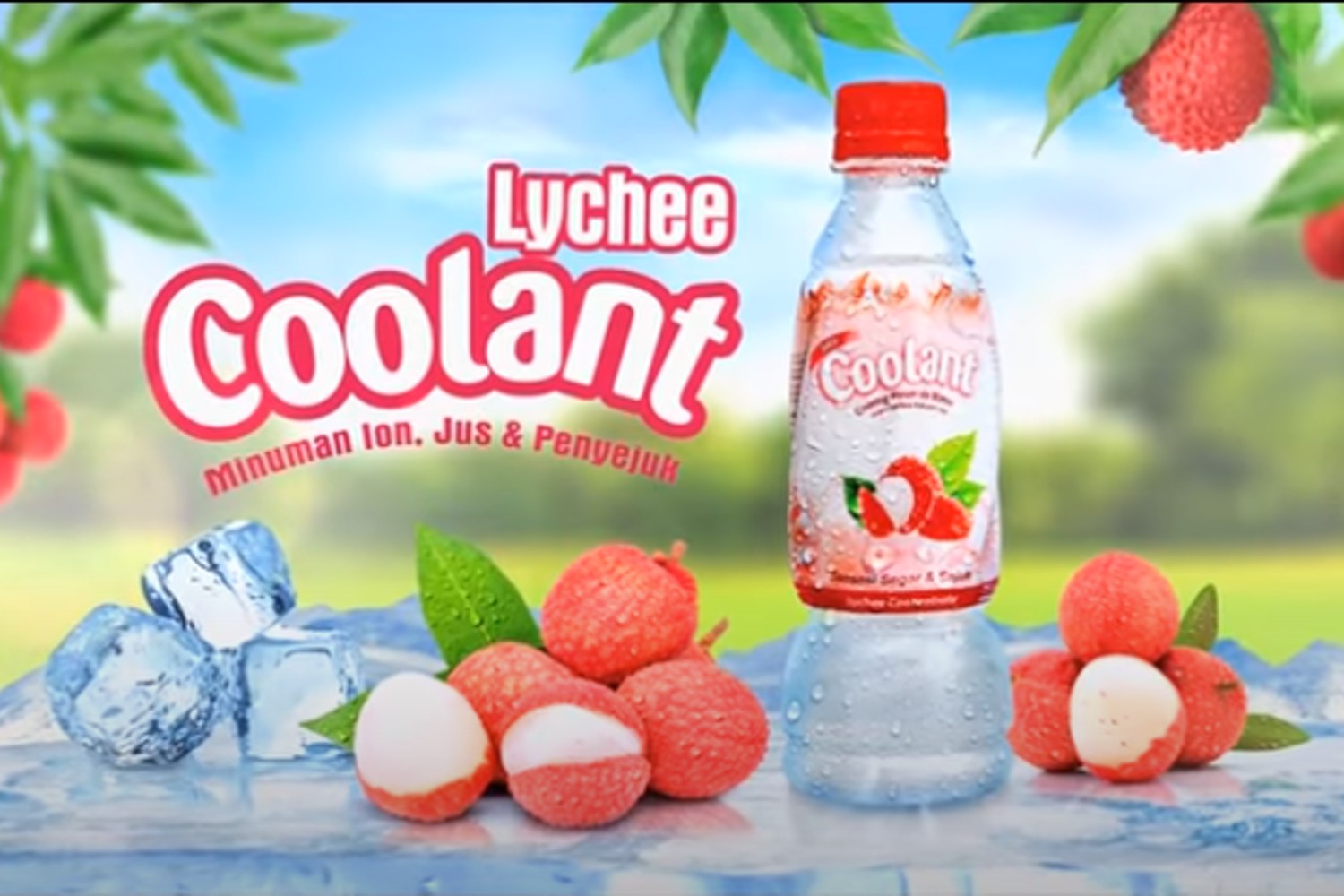 Tempat Offline dan Online yang Jual Coolant Minuman Isotonik