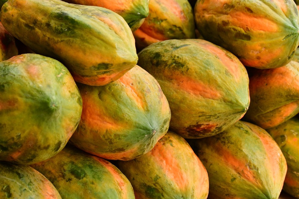 Makanan yang Cocok untuk Penderita Susah Buang Air Besar