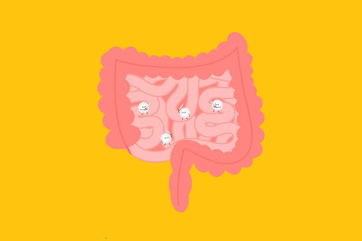 Peran Usus dalam Menjaga Imunitas Tubuh