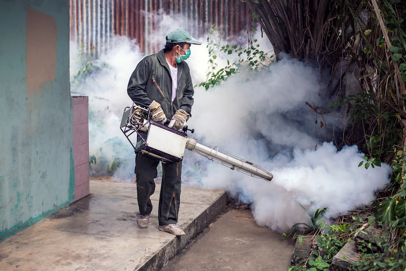 Ini Bahaya Fogging Bagi Kesehatan & Tips Mencegah Paparannya