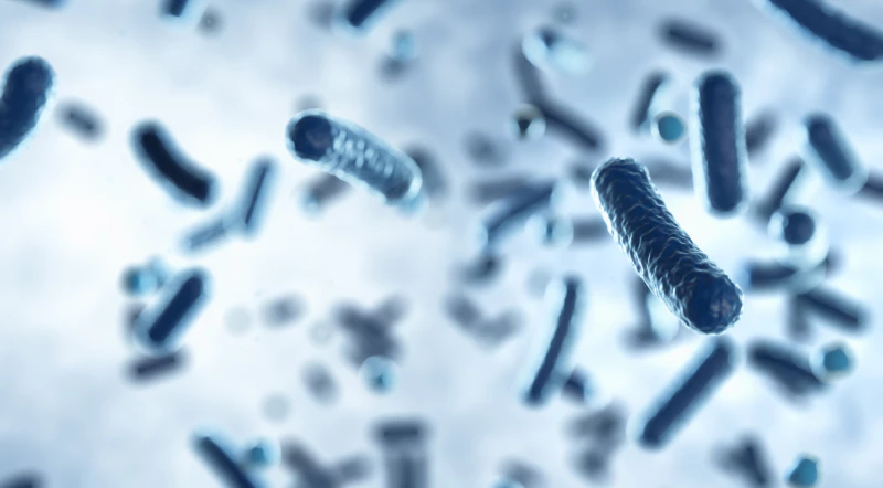 Infeksi Bakteri Streptococcus: Penyebab & Gejala