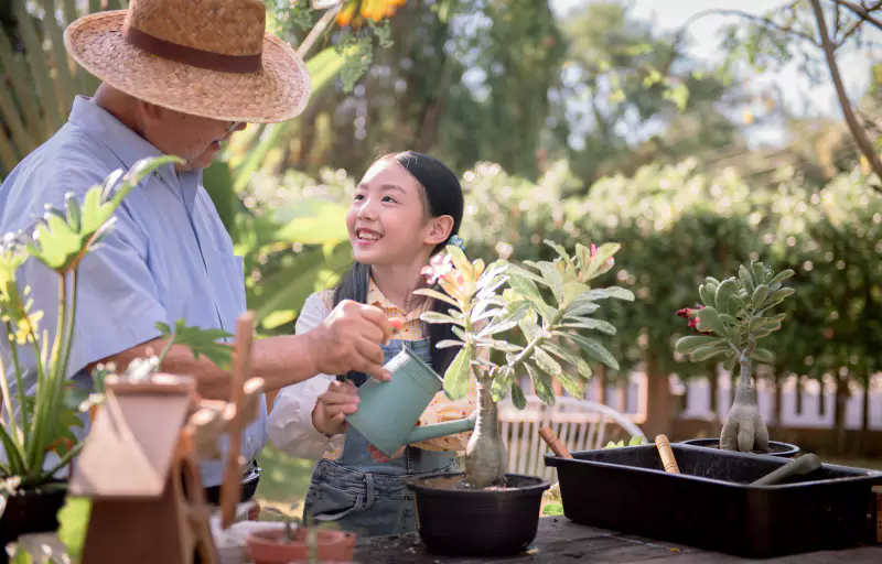 5+ Cara Berkebun di Halaman Rumah yang Sempit, Mudah & Seru!