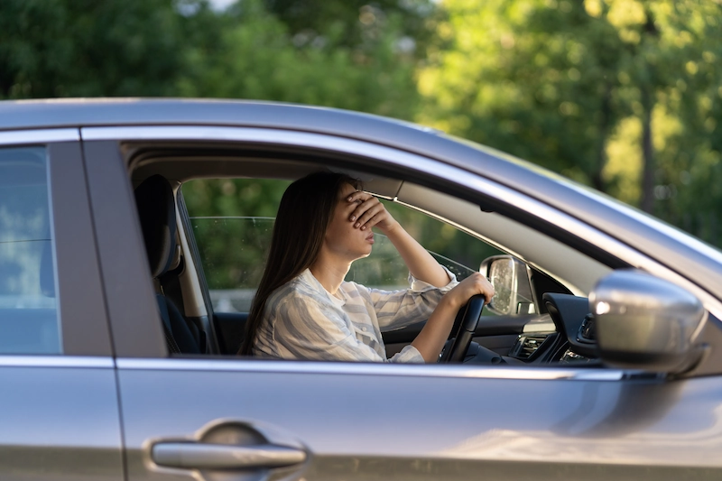 7 Cara Menghilangkan Nyamuk di Mobil dengan Mudah