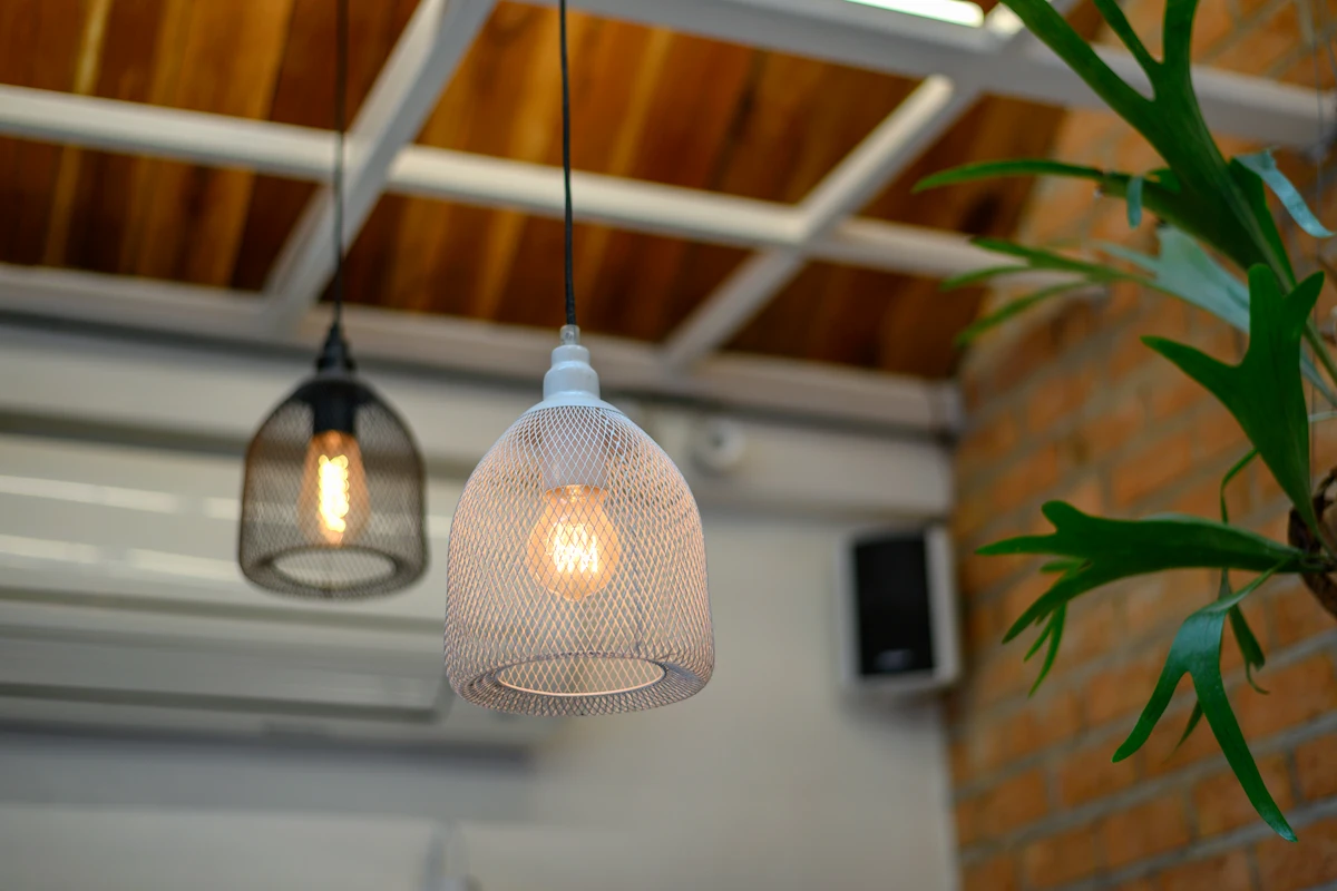 8 Cara Mengusir Laron di Rumah Tanpa Mematikan Lampu