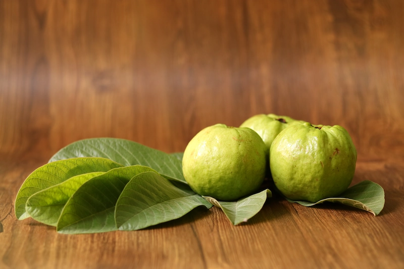 Ini Manfaat Daun Jambu Biji untuk Diare, Wajib Diketahui!