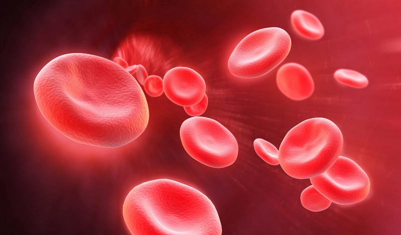 Apa Itu Hemoglobin? Ketahui Fungsi dan Kadar Normalnya