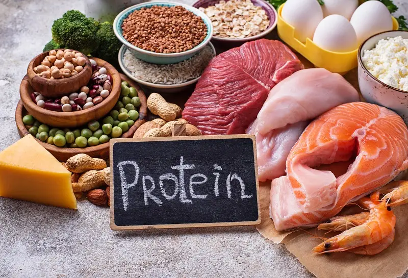 12 Makanan Sumber Protein Tinggi yang Menyehatkan Tubuh