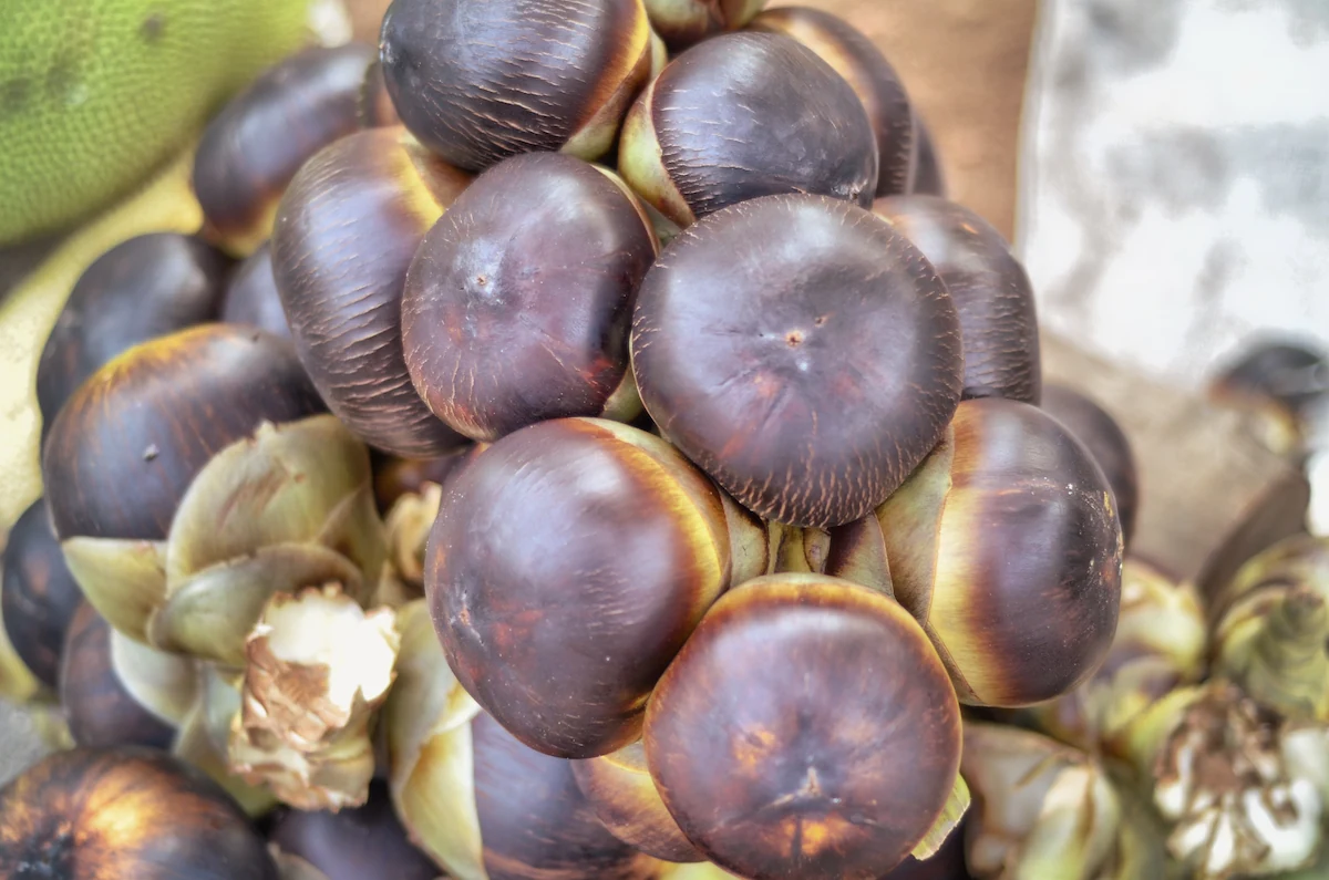 7 Manfaat Buah Lontar untuk Kesehatan, Bantu Atasi Sembelit!