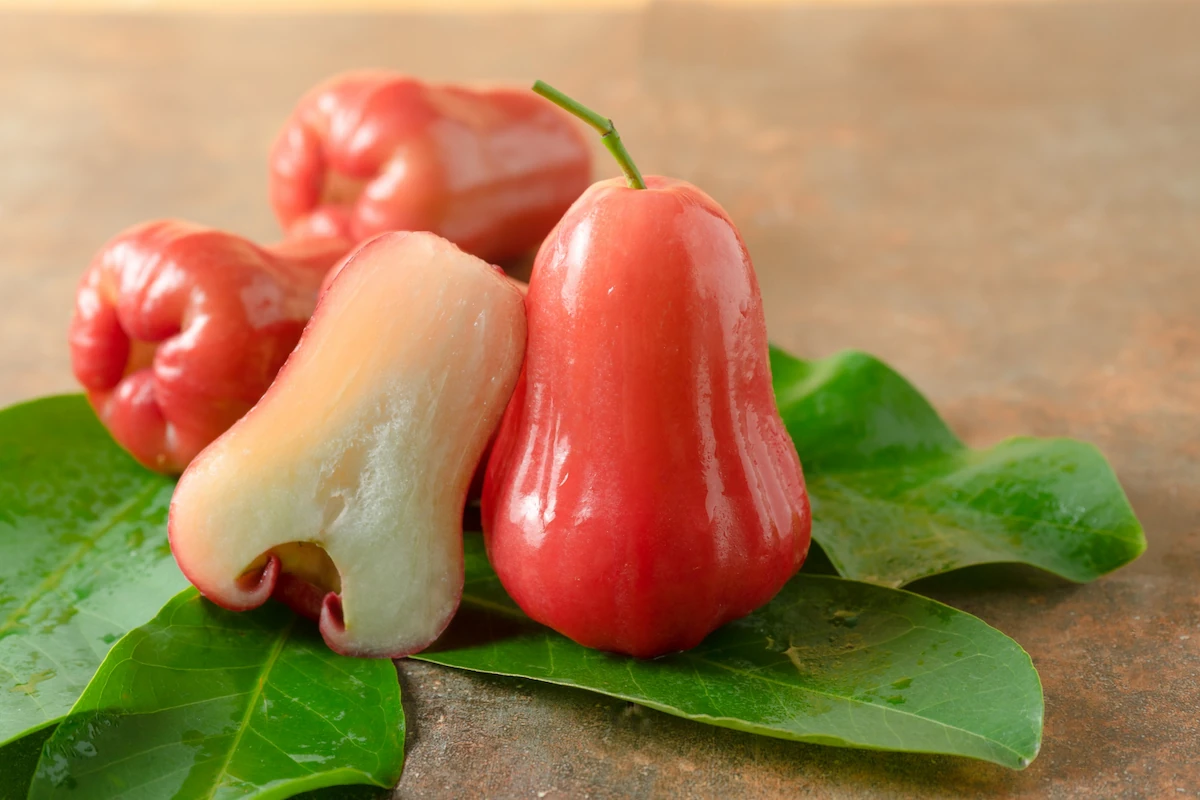Manfaat Jambu Air Untuk Panas Dalam & Kesehatan Tubuh
