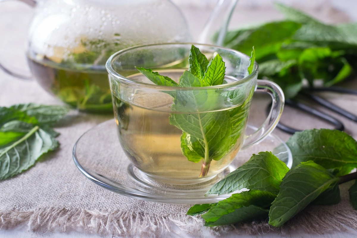 Ini Dia 8 Manfaat Teh Peppermint yang Wajib Kamu Ketahui!