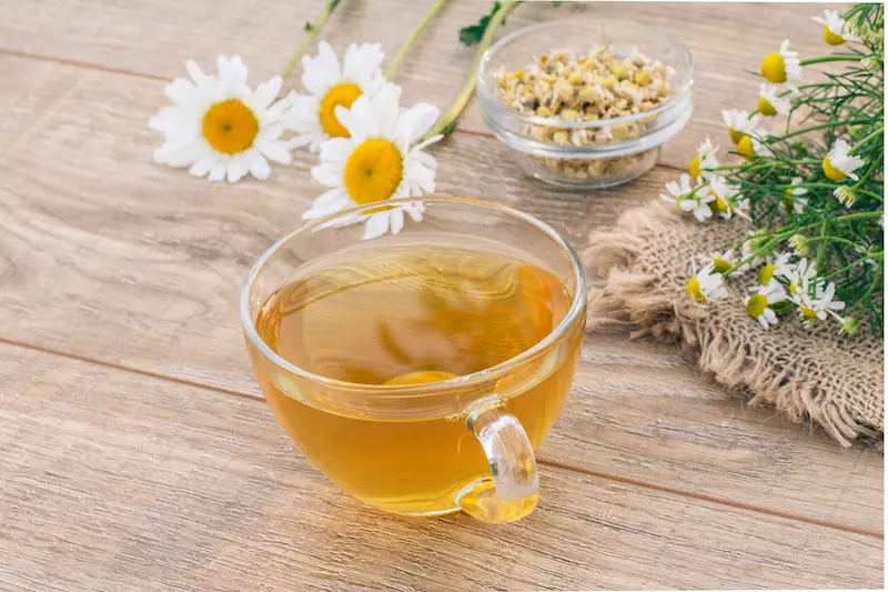 8 Minuman untuk Asam Lambung yang Aman dan Menyehatkan