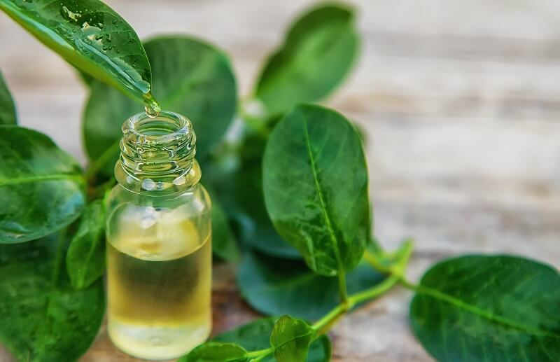 Ini Rekomendasi Minyak Aromaterapi untuk Meredakan Penyakit!