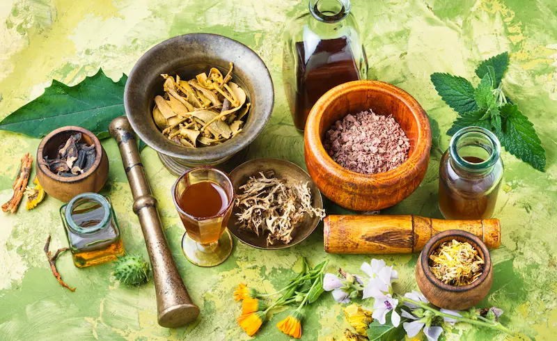 Catat! Ini 12 Macam Tanaman Herbal untuk Kolesterol Tinggi