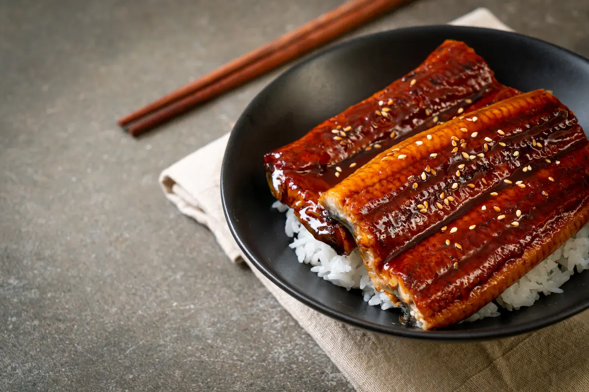 10 Rekomendasi Tempat Makan Unagi Jakarta yang Wajib Dicoba!